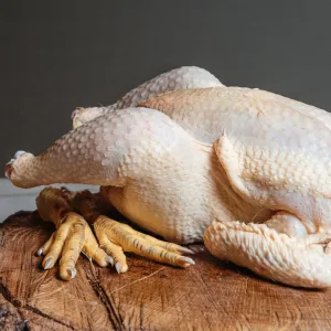Pollo ecológico - Imagen 2