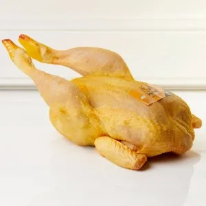 Pollo - Selección 1850 - Imagen 2