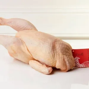 Pollo ecológico - Imagen 3